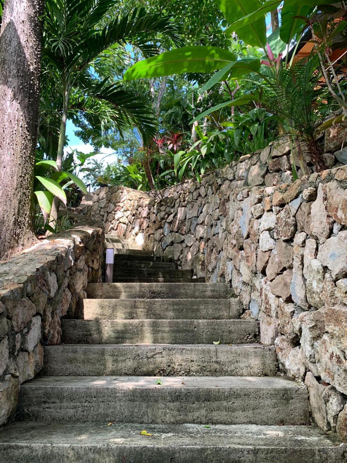 Vista Del Alma Boutique - Adult Only Hotel Playa Santa Teresa  Ngoại thất bức ảnh